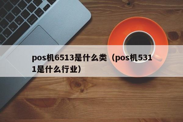 pos机6513是什么类（pos机5311是什么行业）