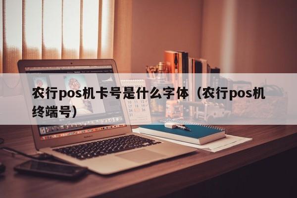 农行pos机卡号是什么字体（农行pos机终端号）