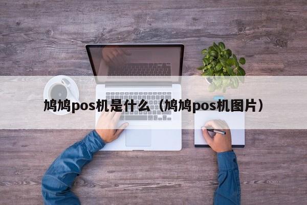鸠鸠pos机是什么（鸠鸠pos机图片）