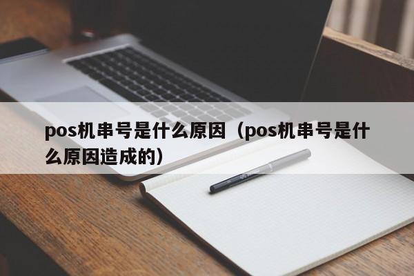 pos机串号是什么原因（pos机串号是什么原因造成的）