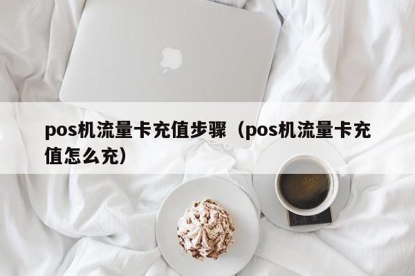 pos机流量卡充值步骤（pos机流量卡充值怎么充）