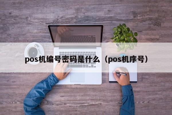 pos机编号密码是什么（pos机序号）