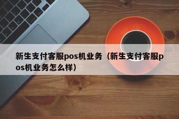 新生支付客服pos机业务（新生支付客服pos机业务怎么样）