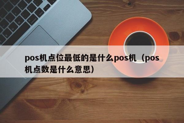 pos机点位最低的是什么pos机（pos机点数是什么意思）