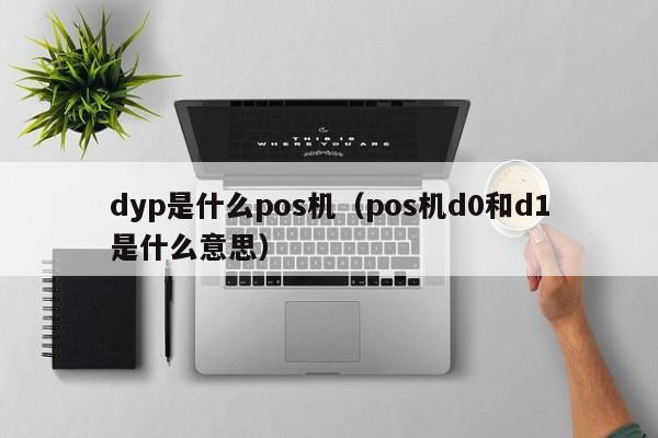 dyp是什么pos机（pos机d0和d1是什么意思）