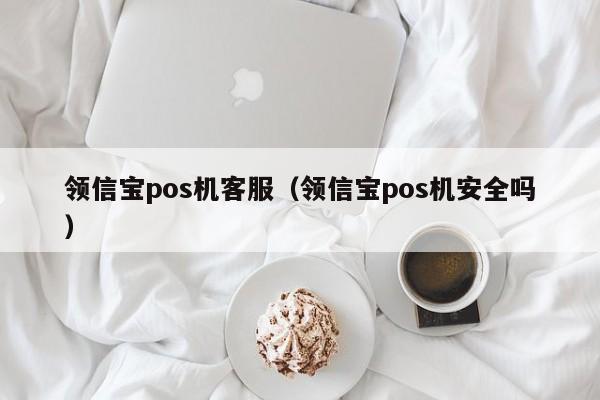 领信宝pos机客服（领信宝pos机安全吗）