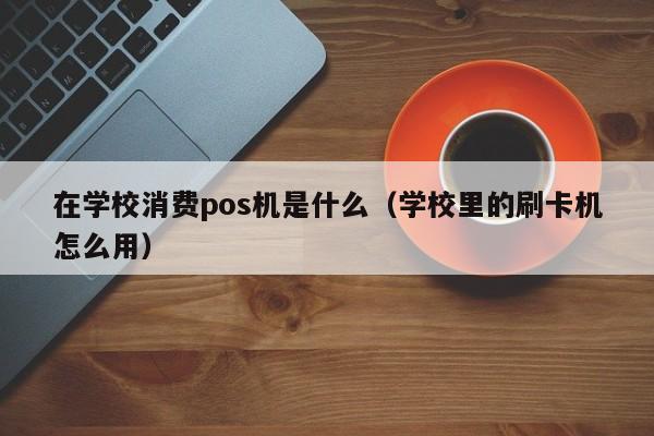 在学校消费pos机是什么（学校里的刷卡机怎么用）