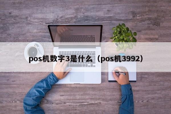 pos机数字3是什么（pos机3992）