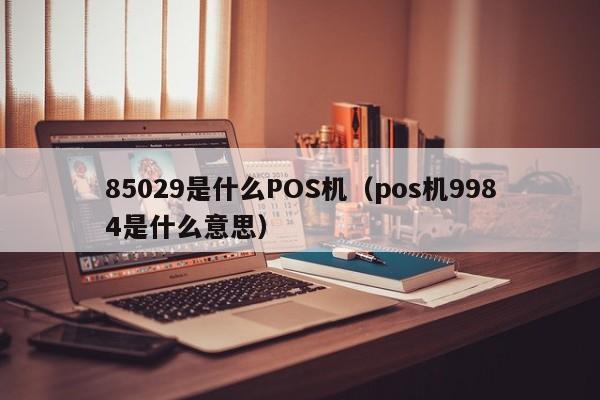 85029是什么POS机（pos机9984是什么意思）