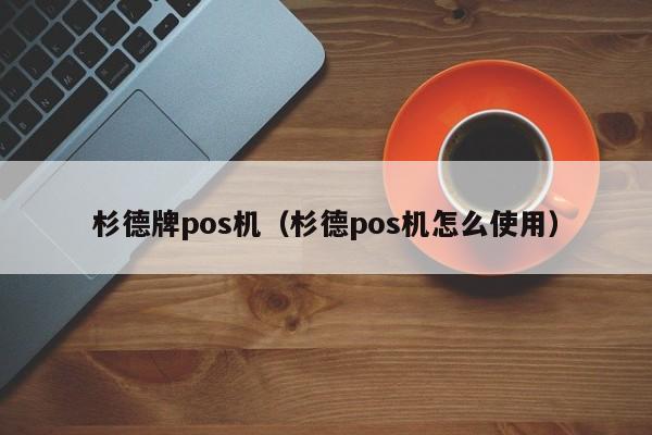 杉德牌pos机（杉德pos机怎么使用）