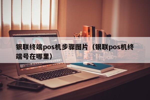 银联终端pos机步骤图片（银联pos机终端号在哪里）