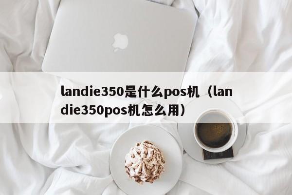 landie350是什么pos机（landie350pos机怎么用）
