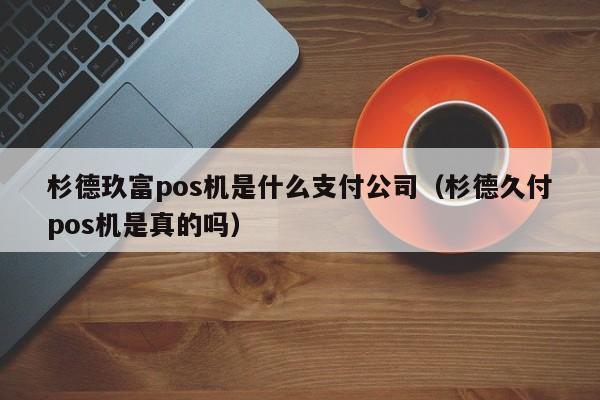 杉德玖富pos机是什么支付公司（杉德久付pos机是真的吗）