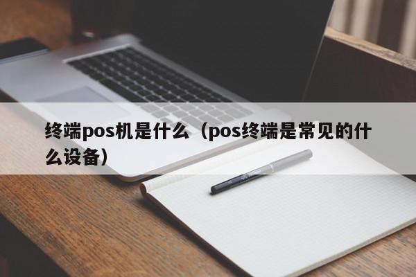 终端pos机是什么（pos终端是常见的什么设备）