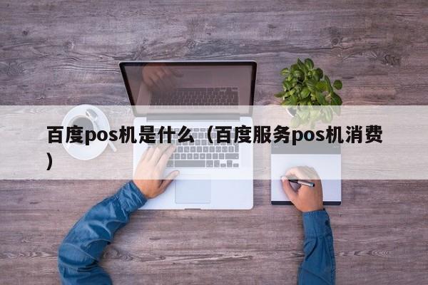 百度pos机是什么（百度服务pos机消费）