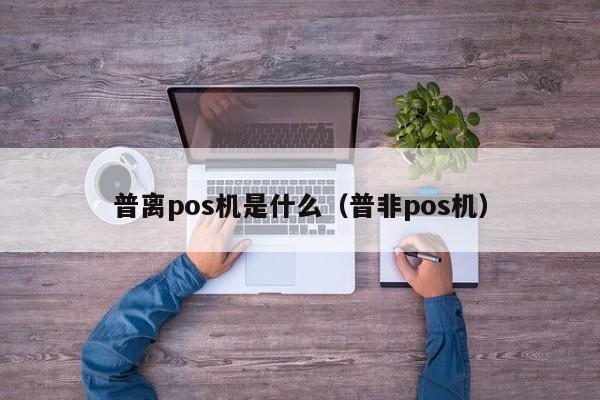 普离pos机是什么（普非pos机）