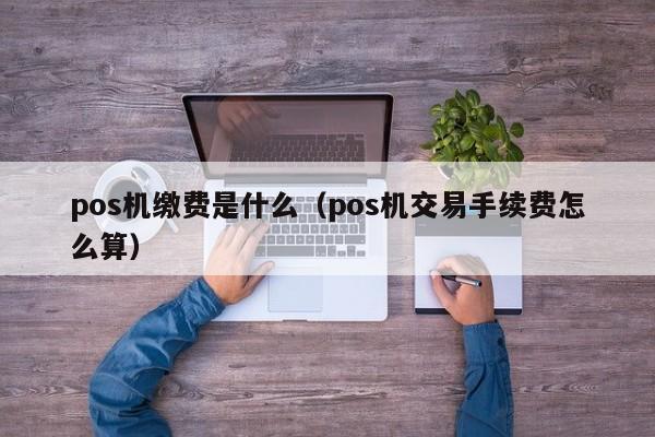 pos机缴费是什么（pos机交易手续费怎么算）