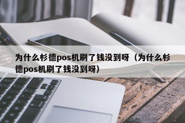 为什么杉德pos机刷了钱没到呀（为什么杉德pos机刷了钱没到呀）