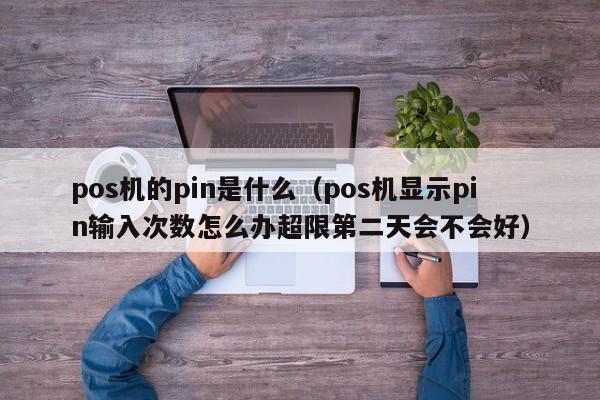 pos机的pin是什么（pos机显示pin输入次数怎么办超限第二天会不会好）