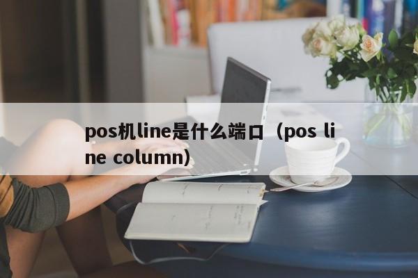 pos机line是什么端口（pos line column）