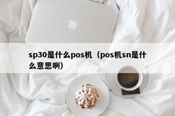 sp30是什么pos机（pos机sn是什么意思啊）