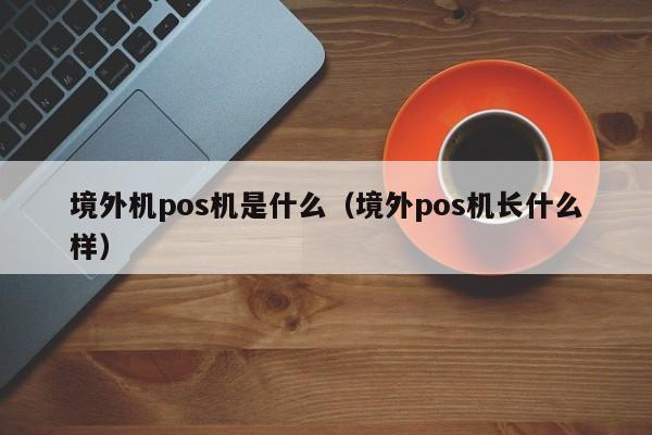 境外机pos机是什么（境外pos机长什么样）