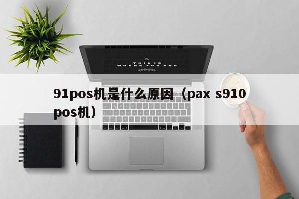 91pos机是什么原因（pax s910pos机）