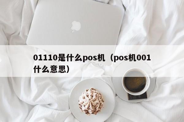 01110是什么pos机（pos机001什么意思）